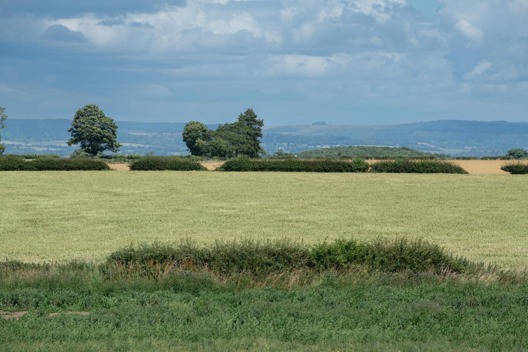 Green End House Ripon Bagian luar foto